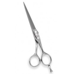 Professional Barber Scissors