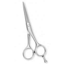 Professional Barber Scissors