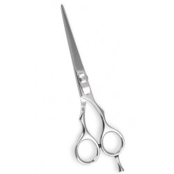 Professional Barber Scissors