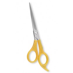 Plastic Handle Scissors